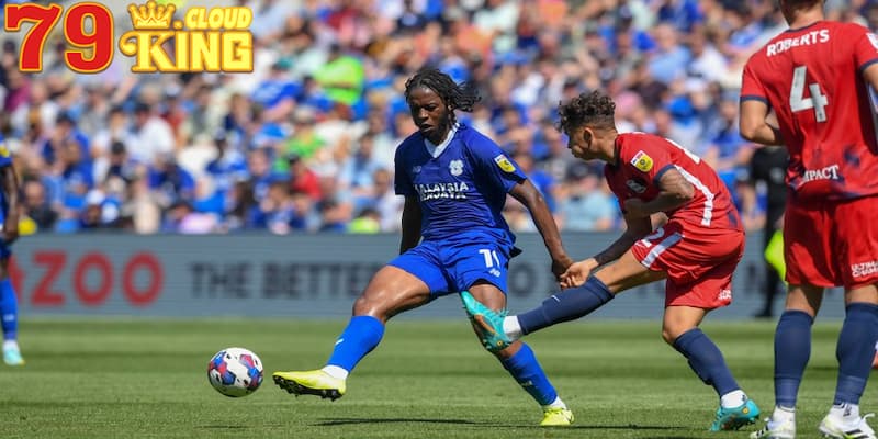 Nắm các giải bóng cỏ là gì cùng 79King Nắm các giải bóng cỏ là gì cùng 79King